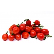 Czerwony pomidorek wiszący Cerise