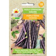 Fasola szparagowa - Purple Teepe