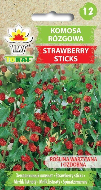 Komosa rózgowa - Strawberry Sticks