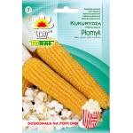Kukurydza Płomyk - na popcorn