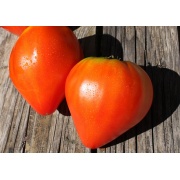 Niemiecki truskawkowy pomidor