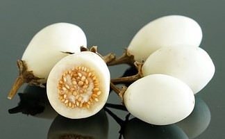 Oberżyna Golden Eggs