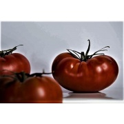 Pomidor Black Russia