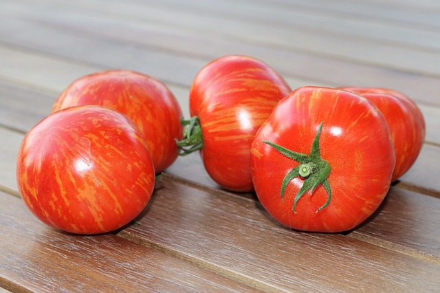 Pomidor Czerwona Zebra