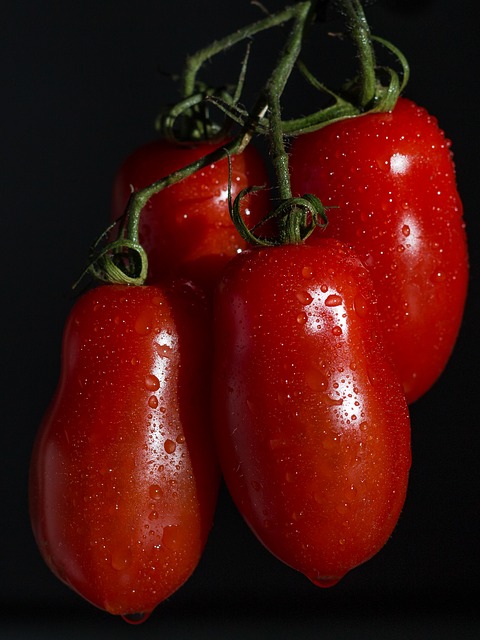 Pomidor gruntowy Scatolone 2