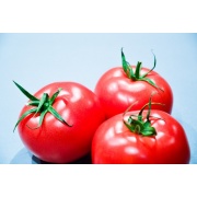 Pomidor malinowy Retro