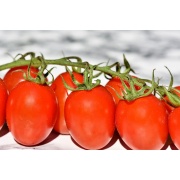 Pomidor Principe Borghese
