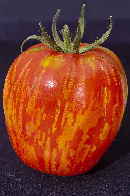 Pomidor Tygrysi - Tigerella