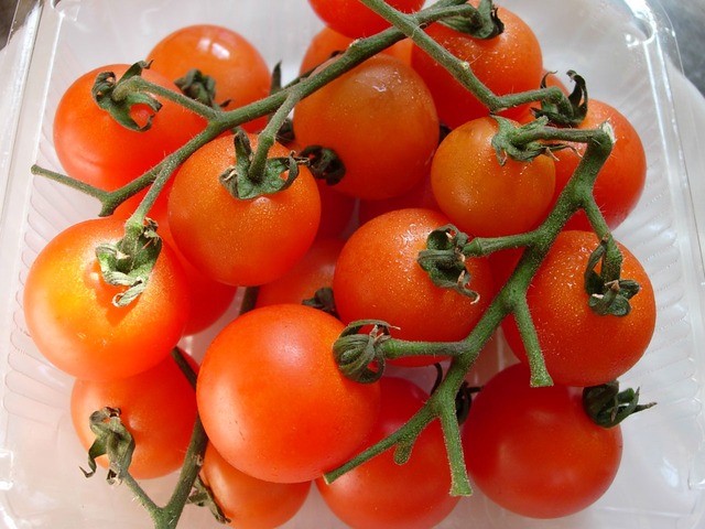 Pomidorek Maskotka